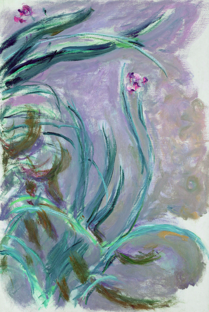 Claude Monet: Iris , Paris, musée Marmottan Monet, legs Michel Monet, 1966 Inv. 5076 © Musée Marmottan Monet, Académie des beaux-arts, Paris