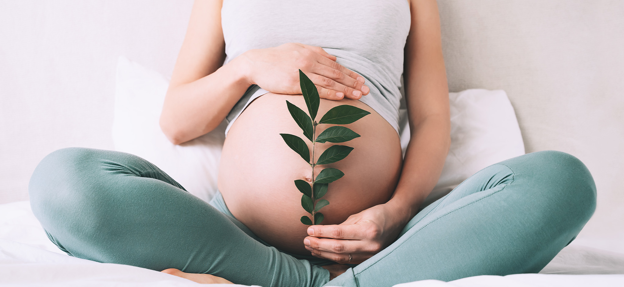 Assistenza prenatale