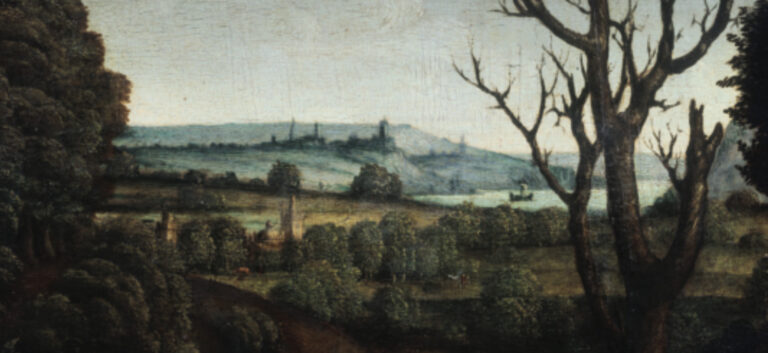 Andrea Solario: La seduzione del colore